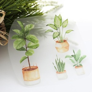 3D전사지]콩고 식물(93014)