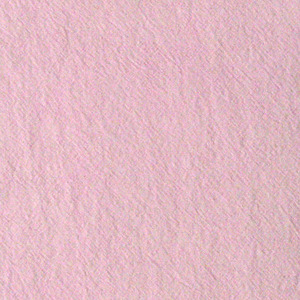 20수 피그먼트(핑크)-2505